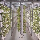 유비엔(주) 이미지