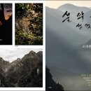 생것 미디어