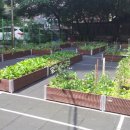 청량리 한신아파트 공동체 텃밭에 다녀왔습니다^^ 이미지