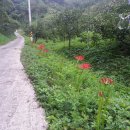 조아농장 이미지