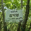 제천 감악산+원주 감악산 산행(2023.6.2) 이미지