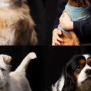 의인농장 이미지