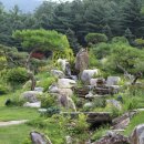 인생은 그냥 길가에 풀 한 포기가 나서 사는 것과 같습니다. 이미지