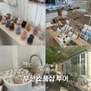 씨티라이프 | 부산 광안리 소품샵 투어 | 코지모지, 띵스오브노트 광안점, 피팔레트 광안, 부산시티라이프 후기