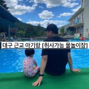 용정농원 | 대구 근교 아기랑] 폭염더위도 잊게해준 평상있는 ‘용정농원’