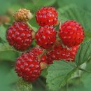 박철보비뇨기과의원 이미지