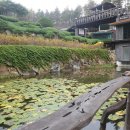 꿈꾸는 별 | 산청 수선사 나들이 예상치 못한 큰 수확
