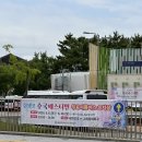카트필 | 울산 장생포 수국페스티벌 웨일즈카트 못타고 온 후기