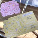 (주)포유레저 | [제주 여행] 서귀포 &lt;왈종 미술관&gt; 아이와 함께 다녀온 후기, 미술관 아트샵 10% 할인 구입기