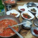 13.8.14~17 영덕블루로드 완주 실패 후기(세번째날)