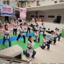 창조태권도장 이미지