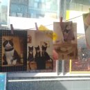 냥이놀이터 이미지