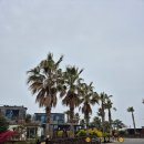 제주아일랜드공인중개사사무소 | 🏘️영어교육도시 차량10분🌴수영장 딸린🌊타운하우스🌴연세는 💰1500💰밖에 안 해요?