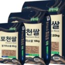 영북광고