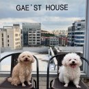 개스트하우스 청주점 이미지