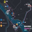 RUN 광화문 | 2025 서울하프마라톤 직접 뛰어보니!? - 적절한 코스와 무난한 운영의 콜라보였다~