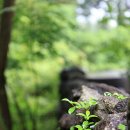 돌담목장 이미지