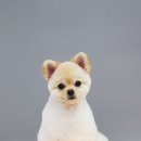 어반독스 이미지