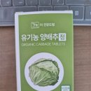정은드림