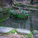 중궁원리 이미지