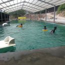 솔밭체육공원 오토캠핑장 이미지