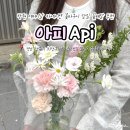 의창구 ⓔ-39 | 창원 어버이날 카네이션 꽃바구니 당일 꽃배달 가능한 창원꽃집 아피 Api