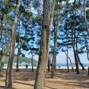 솔바다민박 이미지