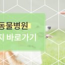 유성동물병원 이미지