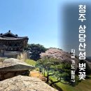 자연마당 | 청주 상당산성 벚꽃 구경 지금 가도 될까? 자연마당 산책 청국장 먹고 온 후기(2026 최신)