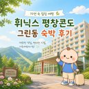 휘닉스 평창 콘도미니엄 | 휘닉스 평창콘도 그린동 숙박 후기｜자연 속에서 쉬기 좋은 평창 숙소 추천