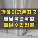 남양주 애완견파손 마루 몰딩 걸레받이 토탈복원 사례