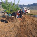 경은농장 이미지