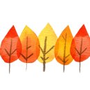 북면수변공원(야구장) 이미지