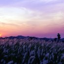 태평목장 이미지