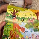숲속농장 | 어스본 사운드북 [동물농장, 행복한 숲속] 독서-ing 후기