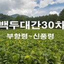 백두대간종주산행기 30차 부항령~신풍령(남진)
