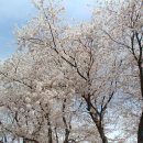 강남영상미디어고등학교 이미지