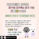 개엄마 이미지