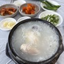 대중회관 | 삼척 삼계탕 맛집 찾는다면? 대중회관 방문 후기