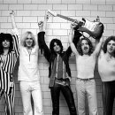 Holly Shop 이미지