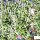 심신경로당 이미지