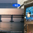 굿모닝김밥천국성내점 | [부산] 달리고, 걷고, 타는 부산 여행 루트 — 해안 러닝, 해운 열차