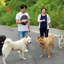 현대 동물병원 이미지