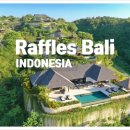 애플팸럭셔리풀빌라리조트 | [인도네시아 숙소 추천] 라플스 프라이빗 풀빌라 럭셔리 리조트 솔직 후기