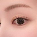 카라 코스메틱 | [영양제+마스카라]더툴랩 워셔블 세럼카라 내돈내산 후기(클리어 블랙색상)