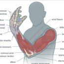 서초중앙로31길 5 이미지