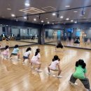 키즈 돌핀 아카데미 이미지