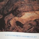 금성석유얼음 | 지구와 생명의 역사는 처음이지?