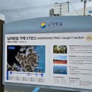 닥터김동물의료센터 이미지