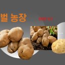 김영식농장 이미지